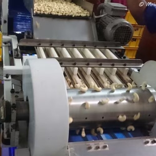 Cashew Processing Floor 3