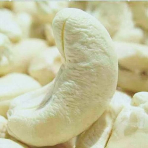 Cashew Processing Floor 5